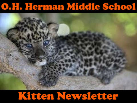 October 2016 Kitten Newsletter